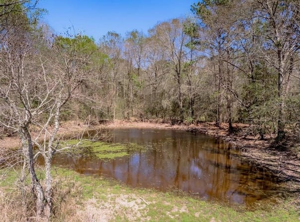 A00008 Kickapoo Road, Groveton, TX 75845