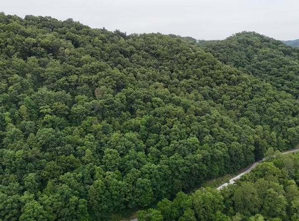 Yellow Creek Rd, Louisa, KY 41230