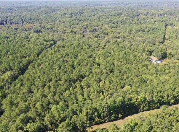 Neely Ferry Road, Tract B, Waterloo, SC 29384