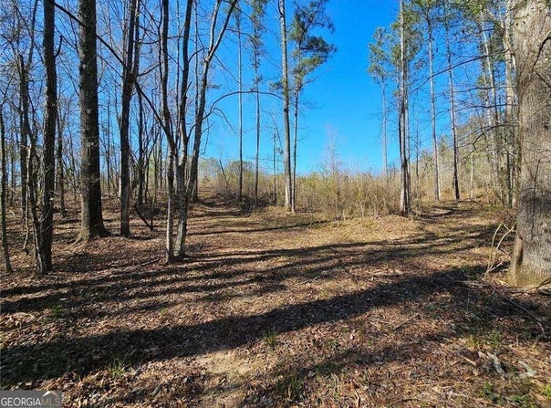 Butler Road, Franklin, GA 30217