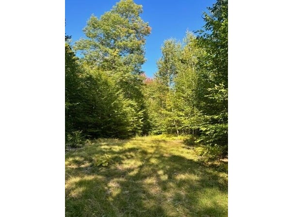 Beech Ridge Road, Jay, ME 04239