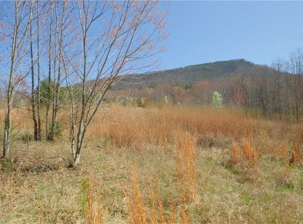 7 Old Mill Road, Pinnacle, NC 27043
