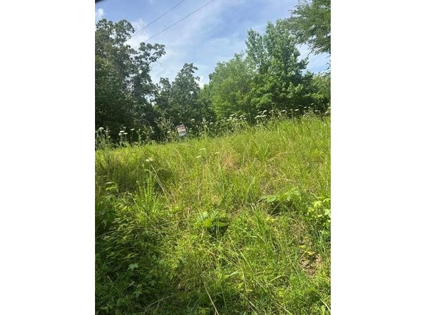 Dock Drive/Cypress Road, BUCHANAN, TN 38222