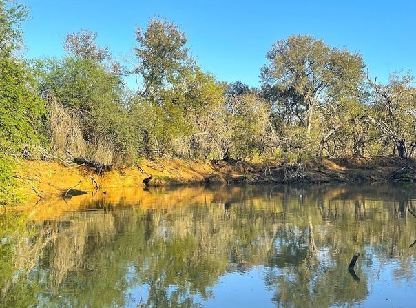 highway 304, Gonzales, TX 78629