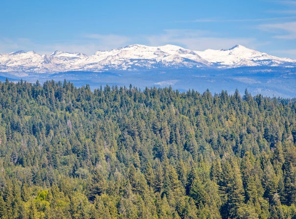 6420 Starkes Grade Road, Pollock Pines, CA 95726