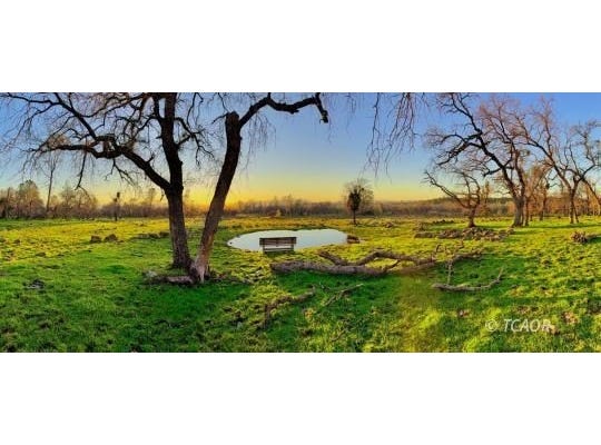25996 Dersch Rd, Shingletown, CA 96088