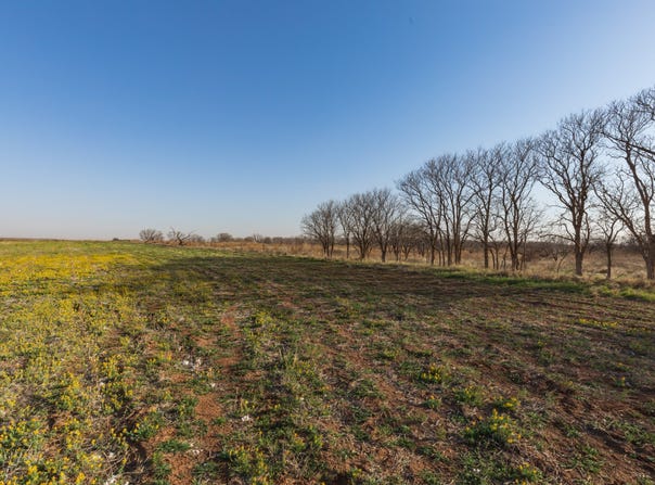 CR 262, McCaulley, TX 79534