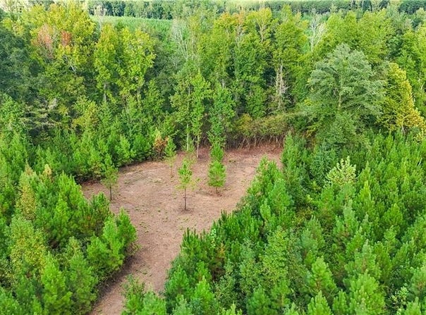 COUNTY ROAD 28, LAFAYETTE, AL 36862