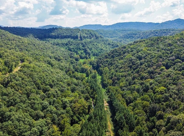 02 Little White Oak Rd., Duff, TN 37729