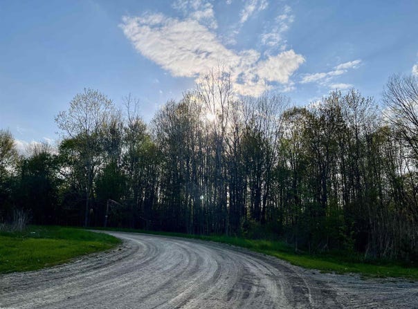 Fox Ridge 1-A Lane, Allenton, MI 48002