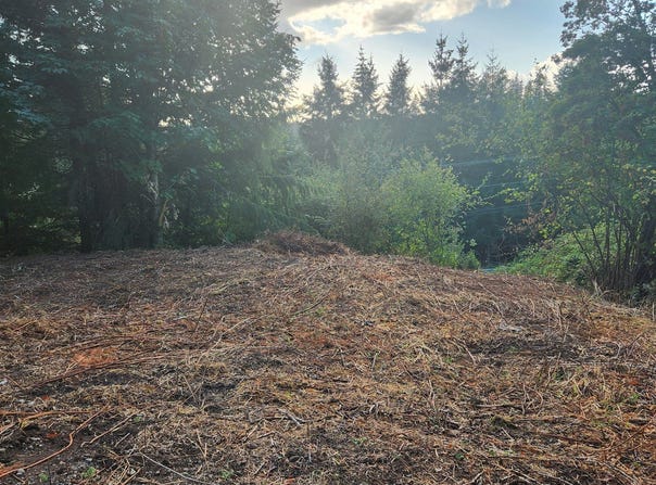 NE Jabez St, Winlock, WA 98596