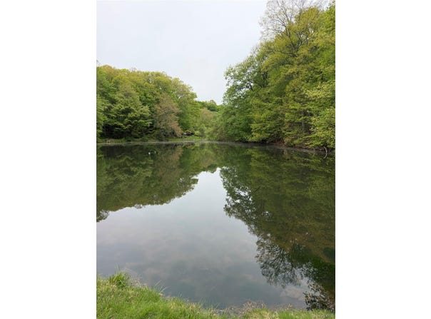 301 Roaring Brook Road, Chappaqua, NY 10514