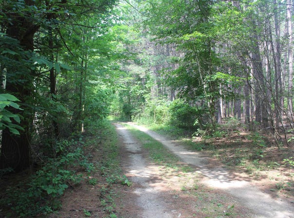 Whitefish Trail, Kewadin, MI 49648