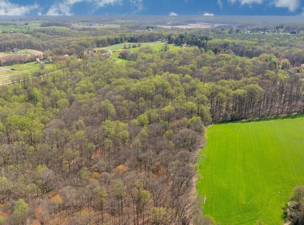 WILSON Road, WHITE HALL, MD 21161