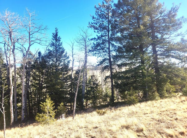 8802 Ranch Road, Hartsel, CO 80449