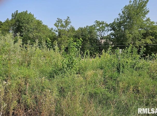 BRITTANY Court lot: 100, Metamora, IL 61548