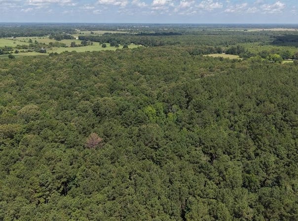 Tract 2 CR 4320, DeKalb, TX 75559