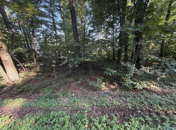 Creek Path/Browns Valley Rd lot: 38, Guntersville, AL 35976