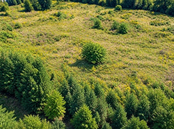 Blazer Heights lot: 13, Bloomfield, KY 40008