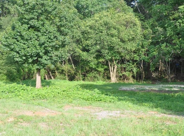 110 Stroud, Elba, AL 36323