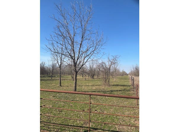 Red Sough, Haworth, OK 74740