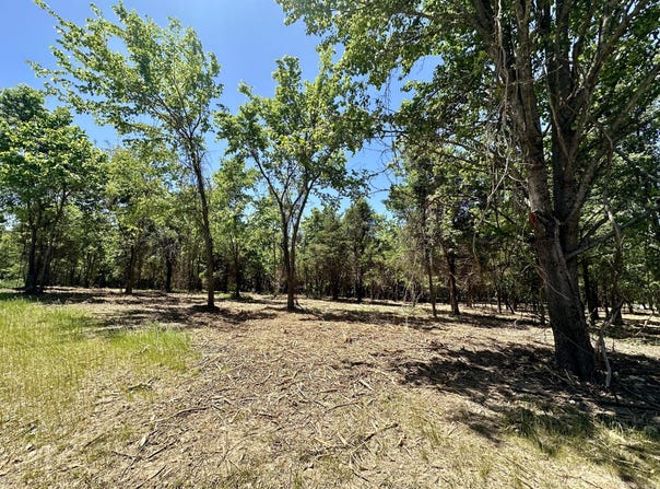 Mack Road lot: 1, Nixa, MO 65714