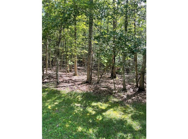 222 Mountain Laurel, DANIELS, WV 25832