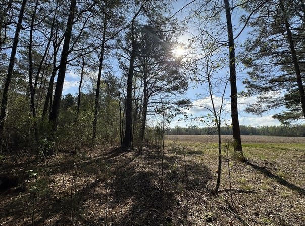 1.1+/- AC Snider Avenue, AL