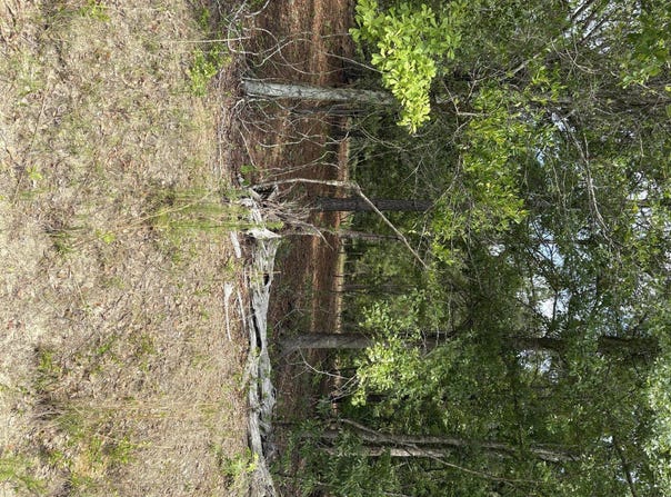 Warbonnet Road lot: E, Salley, SC 29137