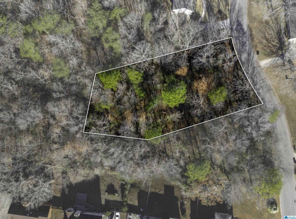 1024 TIMBERLINE TRAIL lot: 12, BIRMINGHAM, AL 35215