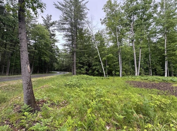 Pinecrest Drive, Gladwin, MI 48624