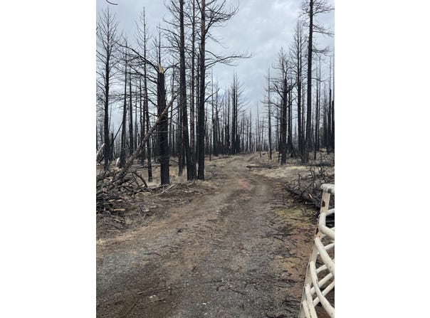 1100 Yellow Pine Road, Bly, OR 97622