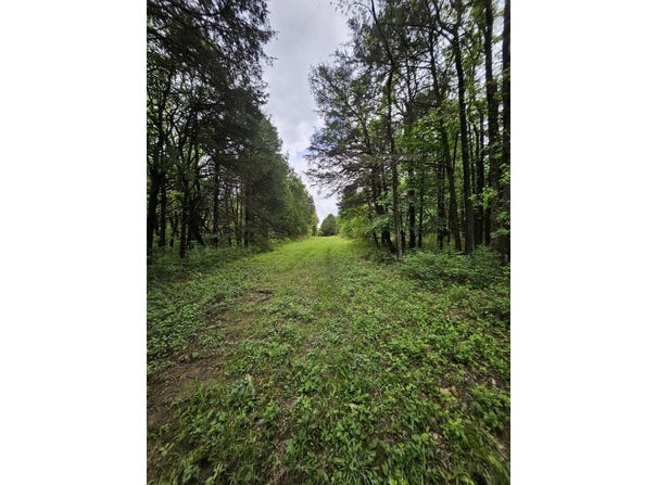 W Dade 2, Jerico Springs, MO 64756