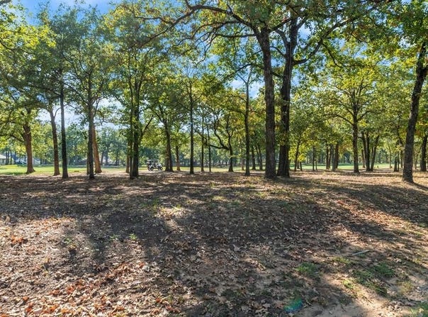 223 Colonial Dr, Mabank, TX 75156