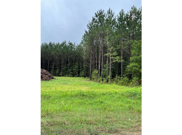 parcel 1 county road 6629, BANKS, AL 36005