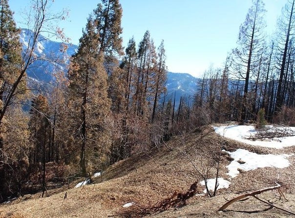 Redwood Drive, Springville, CA 93265