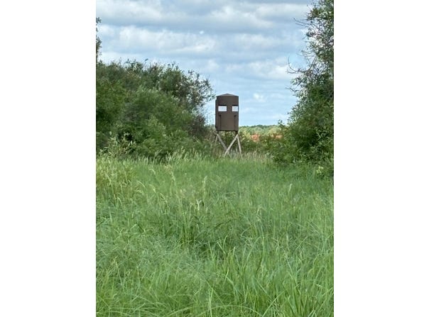 County Road 7, Bagley, MN 56621