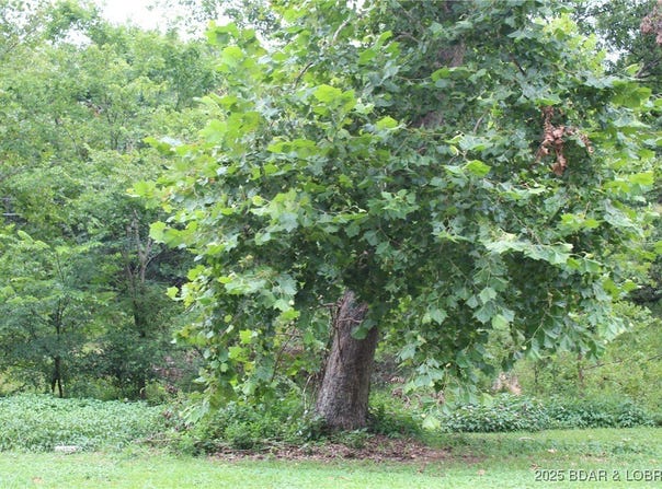 Pinkie Lane lot: B-1, Laurie, MO 65079