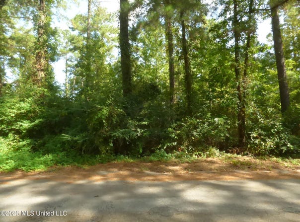 Cedar Drive lot: 27, Monticello, MS 39654
