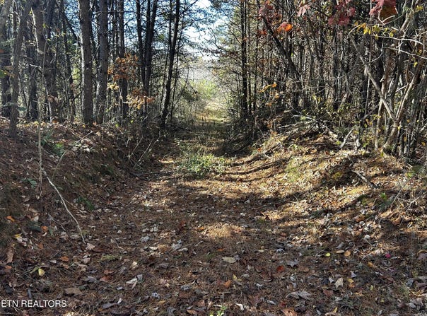 Shaddon Road Lot 2, Tellico Plains, TN 37385