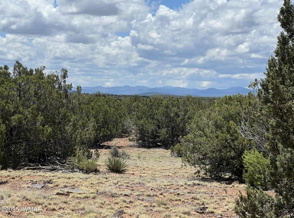 County Road 8309, Concho, AZ 85924