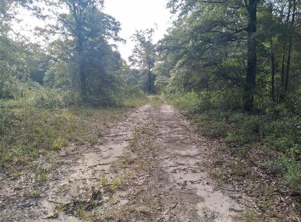 Beaver Lake Court, Wilmer, AL 36587