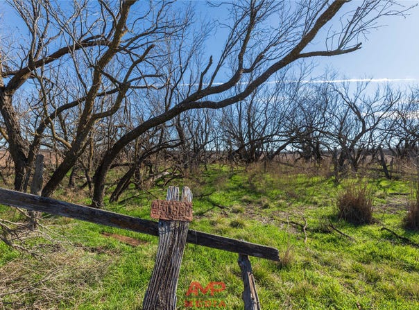 T B D County Road 260, Avoca, TX 79503