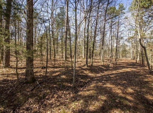 Whipporwill Lane, Choctaw, AR 72031