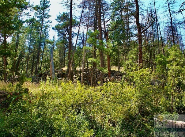 Box Caynon Ln, Cascade, MT 59421