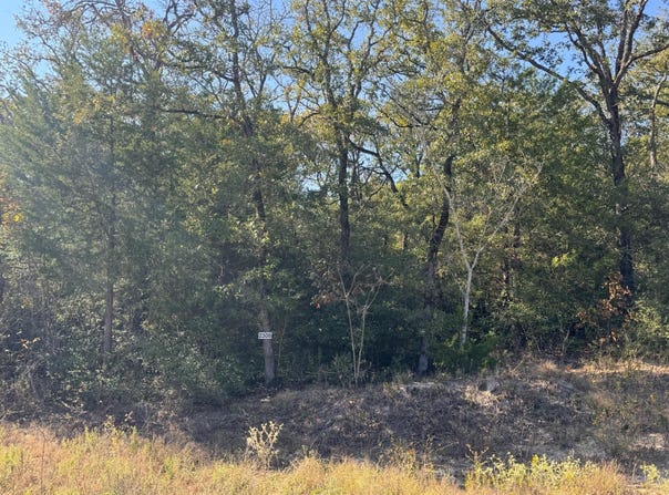 2308 Myrtle Ln, Cameron, TX 76520
