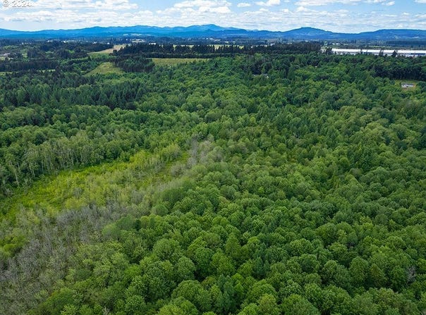 HENRIOT Rd, Winlock, WA 98596