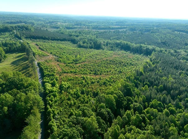 Mt Tabor Road, Keeling, VA 24566