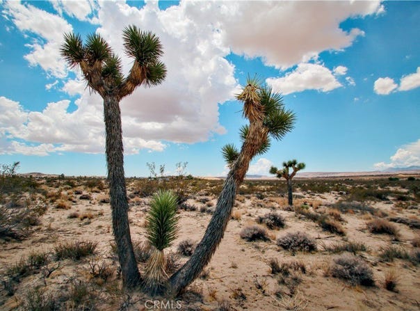 Easton Road, Landers, CA 92285