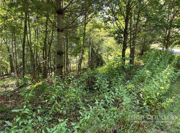 Abigail Lane, Deep Gap, NC 28618